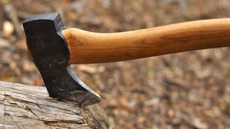 Алматыда оқушы қыз мектепке балтамен барған