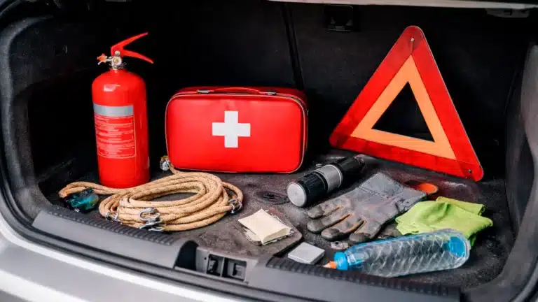 Дәрі қобдишасы, жилет, өрт сөндіргіш – ІІМ автокөлік жиынтығының талабын түсіндірді