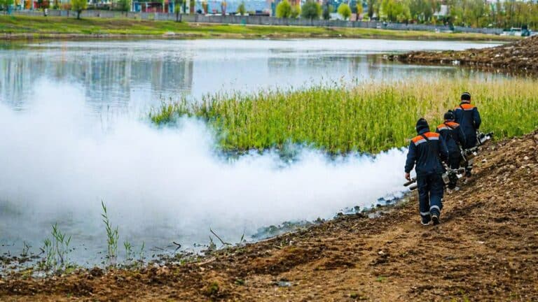 Астанчанам посоветовали не открывать окна на ночь