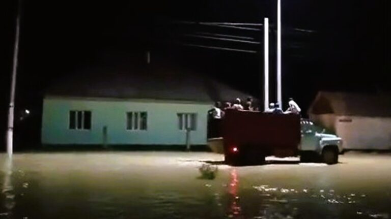 Қызылорда облысы Бірлік ауылын қарғын су басты (видео)