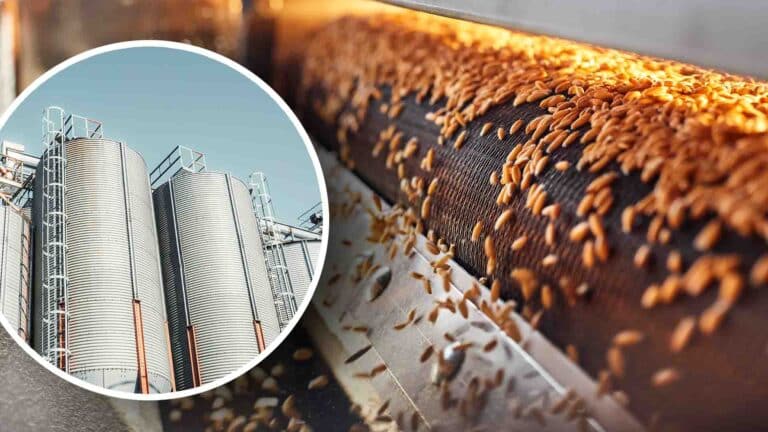 Қытай инвесторы 300 млрд теңгеге астық өңдейтін зауыт салады