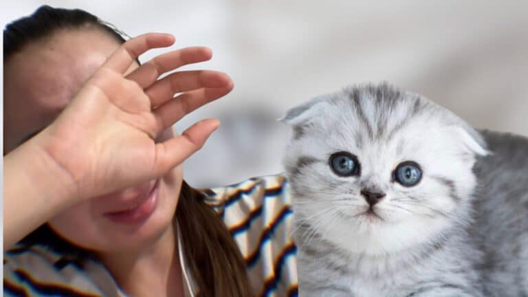 Постирала котенка в стиральной машине: история возмутила Казнет