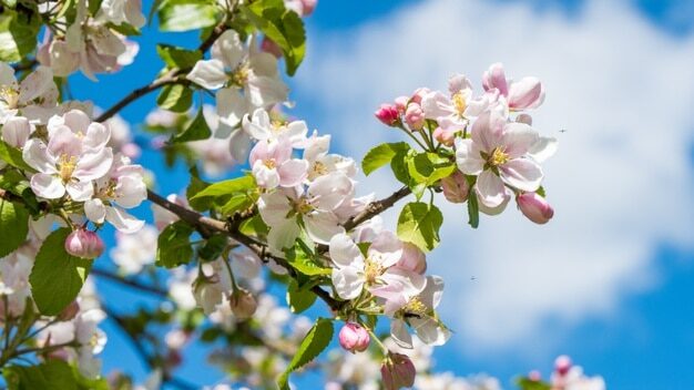 Қазақстандықтар мамыр айында неше күн демалады