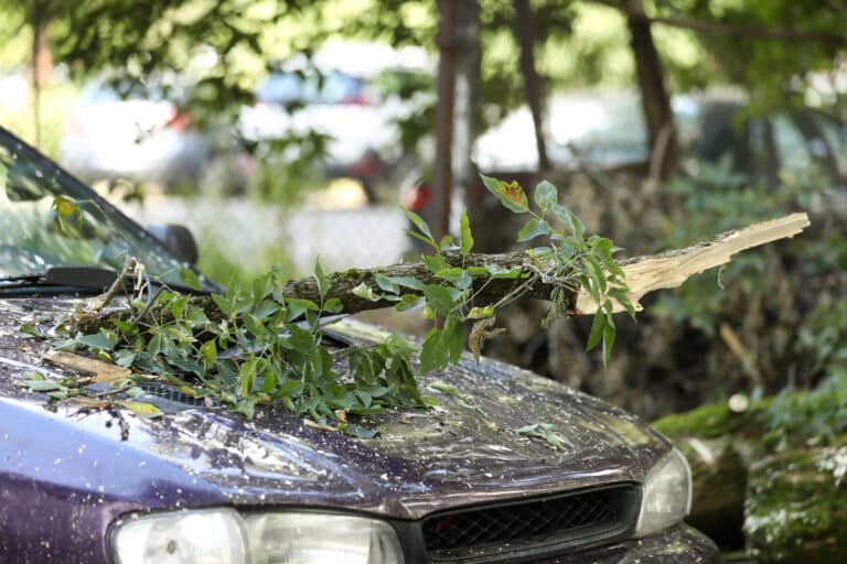 В Экибастузе сильный ветер сносит крыши и остановки