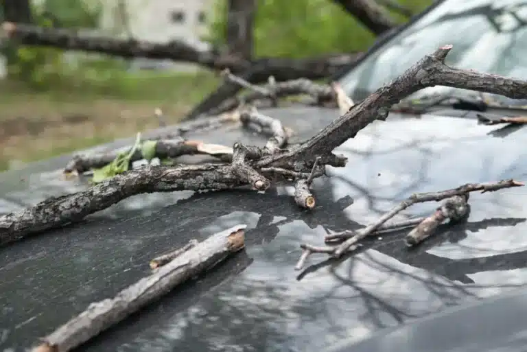 Павлодарда қатты жел ғимараттарды қиратып кетті – зардап шеккендер бар