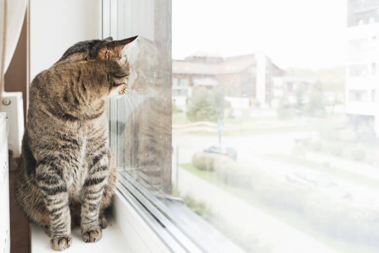 Погода в Казахстане резко меняется: от заморозков до +28 и пыльных бурь