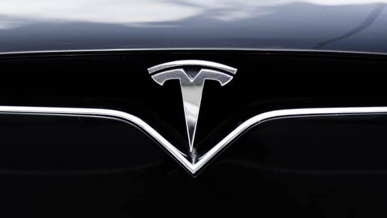 Tesla готовит «народный» кроссовер для борьбы с китайскими брендами