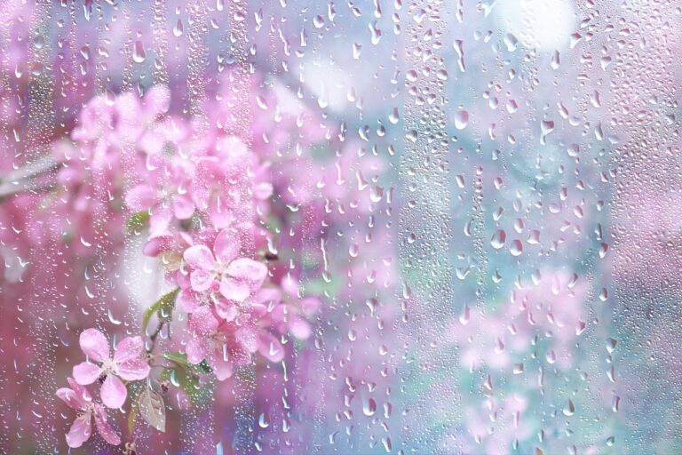 Сильные дожди и даже снег прогнозируют казахстанские синоптики