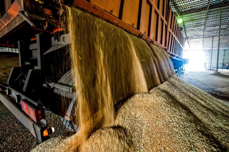 В Акмолинской области построят завод по глубокой переработке зерна