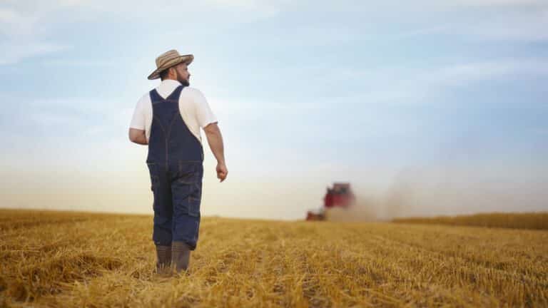 Cельское хозяйство стало антилидером по уровню неформальной занятости в РК