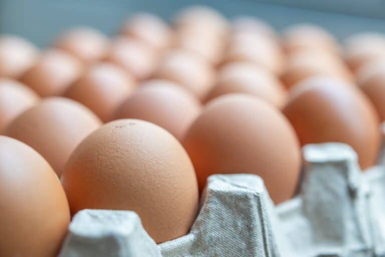 Казахстан запретил импорт куриных яиц на шесть месяцев