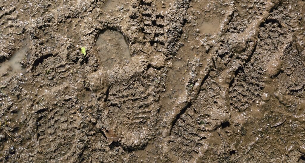 В Акмолинской области спасли шестерых человек из грязевого плена