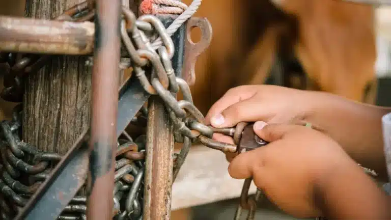 Пастуха, которому доверяли 17 лет, подозревают в краже скота на 46 млн тенге