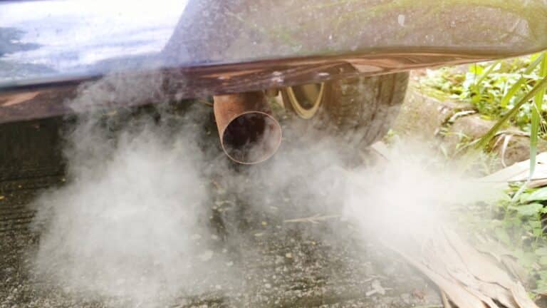 Алматы: жылжымалы бекет тағы жүздеген көлікке айыппұл салды