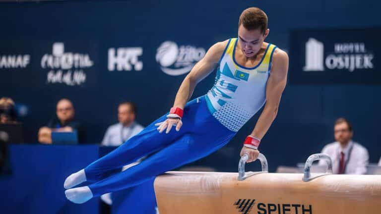 Гимнаст Ильяс Азизов занял пятое место в упражнениях на перекладине на ЭКМ в Египте