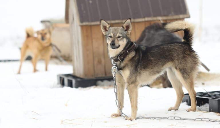 Депутат ит-мысыққа 14,9 млрд теңге бөлінгенін айтып, тексеруді талап етті