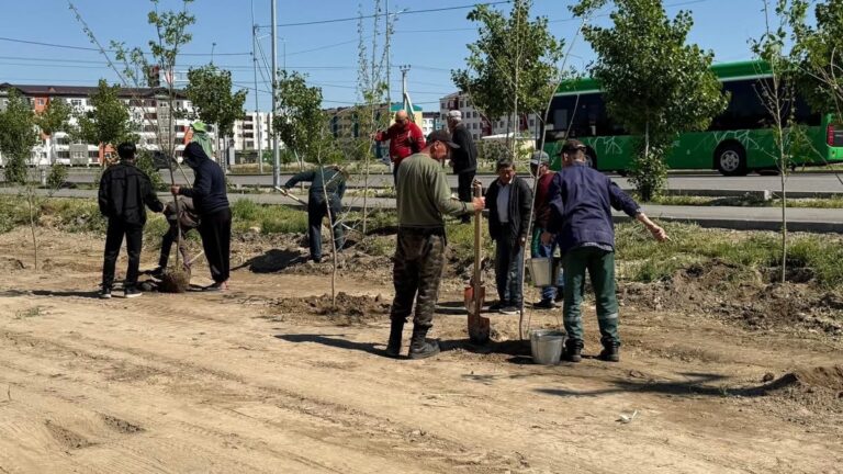 В Таразе в рамках акции «Таза Қазақстан» высажены саженцы деревьев