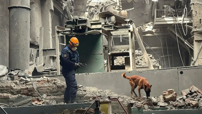 Проверки на «Казцинке» после взрыва начнут только по просьбе депутатов — Минэкологии