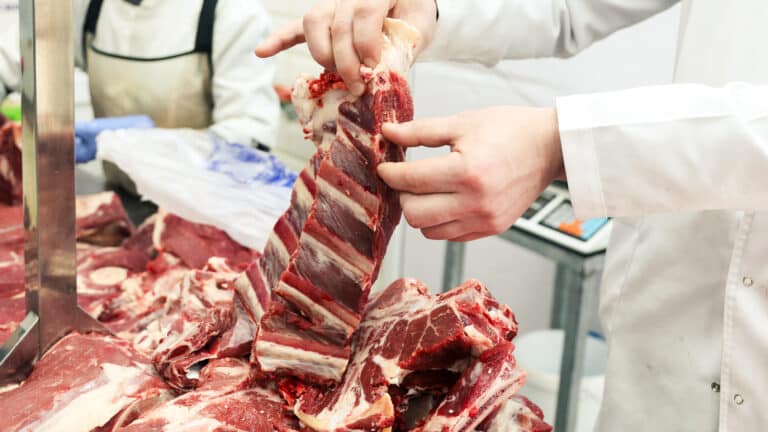 Kazakhstan eyes meat exports to Japan, South Korea and Turkey