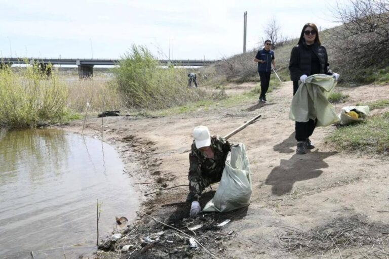 В Астане очистили прибрежную зону реки Есиль