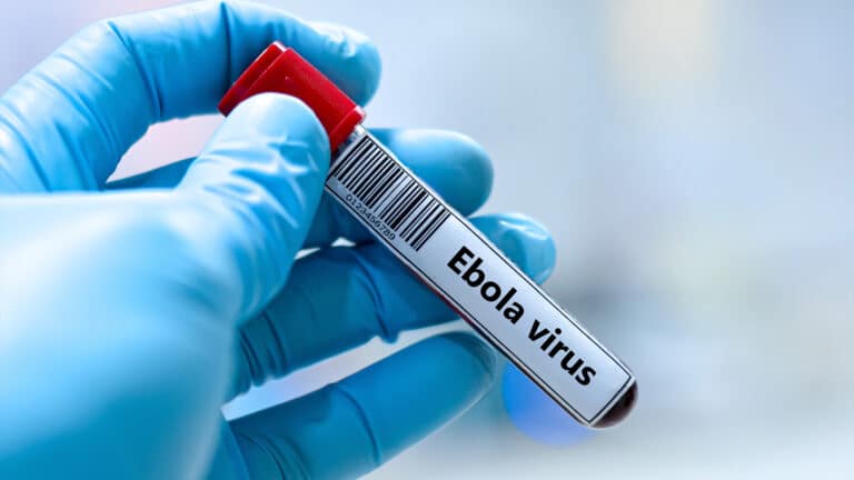 Ebola outbreak in eastern DRC sparks international concern