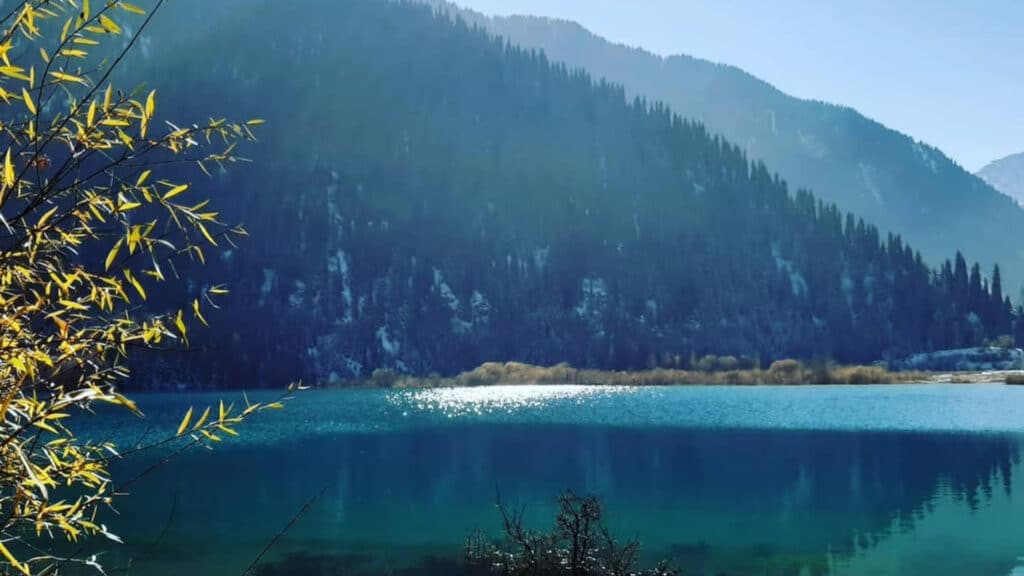 Есік көліндегі бөгет мемлекет меншігіне қайтарылады