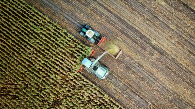 Депутаты опасаются коррупции с проверками ферм Казахстана из-за новых поправок