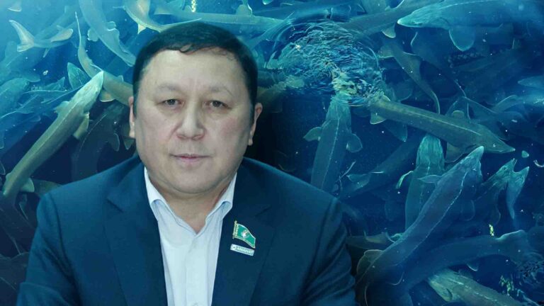 Мәслихат депутаты миллиондаған теңгенің субсидиясына балық зауытын ашты