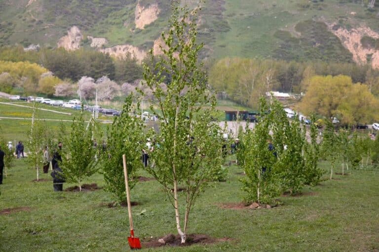 760 тонн мусора, 39 тысяч активистов: в Алматинской области прошли «Дни чистоты»