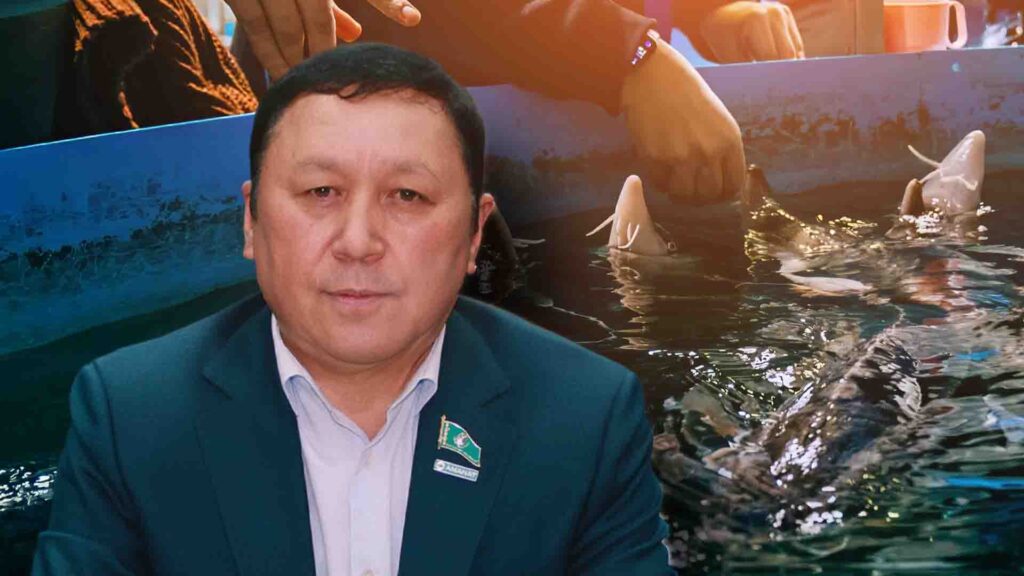 коллаж: Kursiv.Media, бильд-редактор Ахтам Зиперов