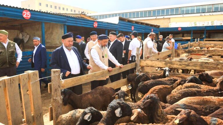 Құрбан айт қарсаңында мал базарына барған мүфти бағаны көтермеуді тағы сұрады