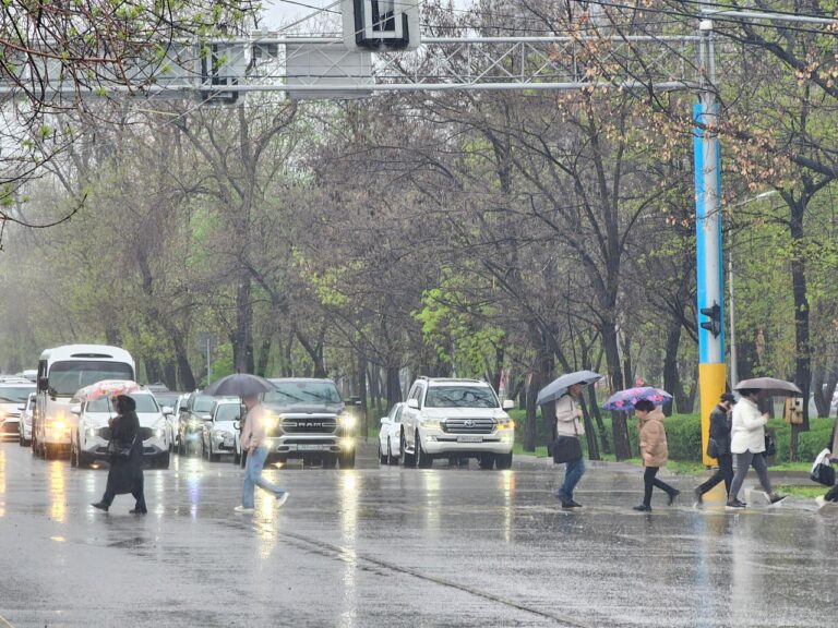 Алматы во власти стихии: вслед за бурей, завтра на город может обрушиться град
