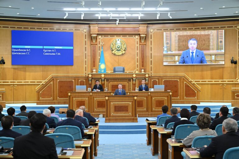 Меморгандар жұмысын алмастырмайды, пікір алаңы болады: Халық кеңесі немен айналысады