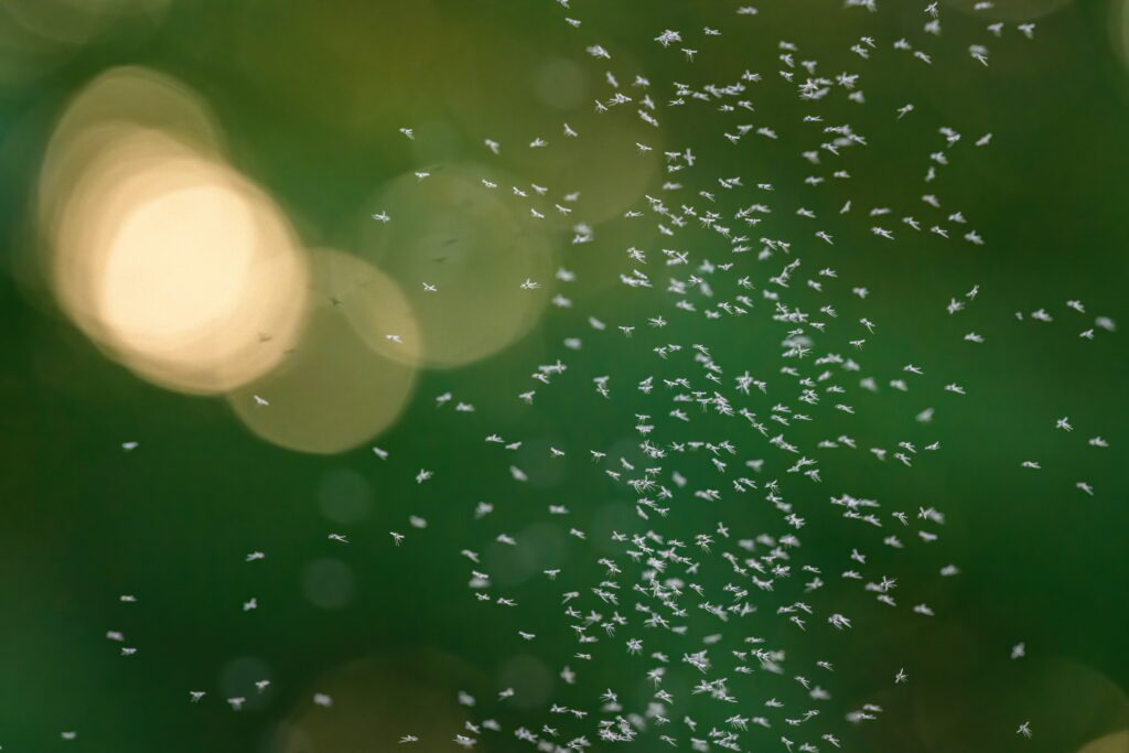 Фото: Shutterstock