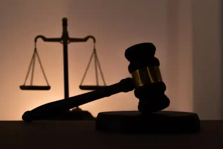 Жамбыл облысында полицияны қорлаған ер адам жазаға тартылды