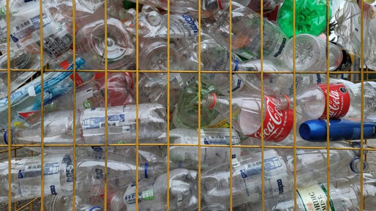 Human leg found at recycling facility in South Korea