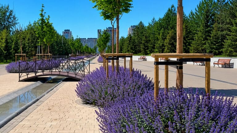 В Центральном парке Астаны расцвела новая инстаграмная аллея