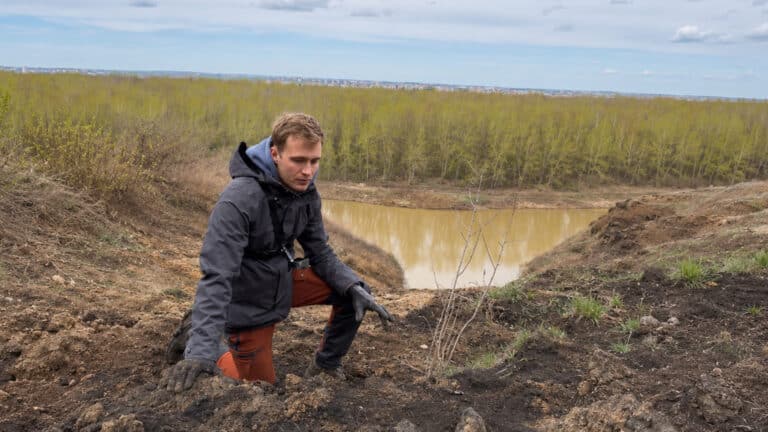 Казахстанцы сами укрепляют берега реки Есиль деревьями
