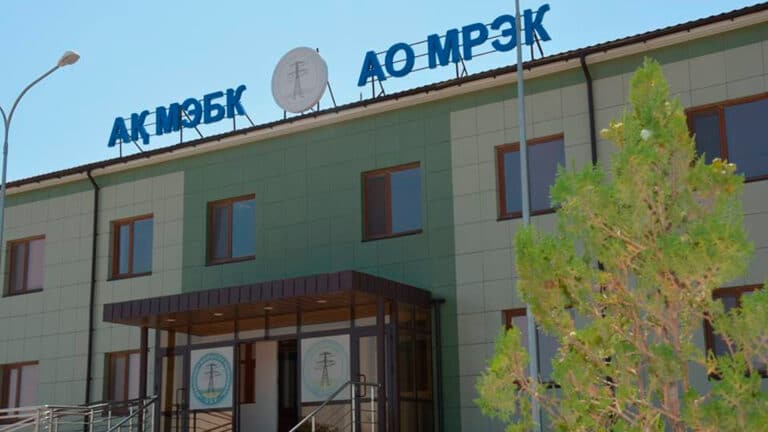 Компания жены миллионера получила более 10 млрд тенге прибыли