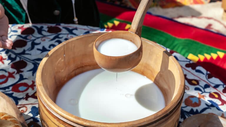 Лучший кумыс выбрали в Казахстане