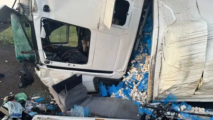 Грузовик с 17 тоннами грибов перевернулся по дороге в Астану