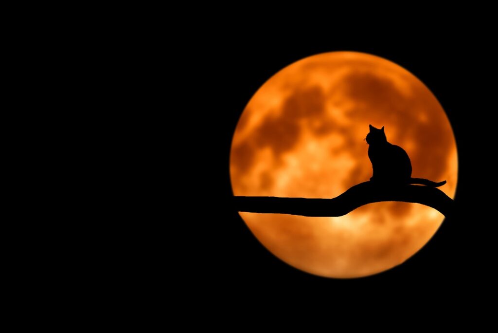 В последнюю ночь июня на небе взошла «Клубничная Луна»
