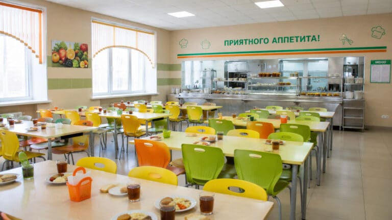 Суд выявил поддельных поваров на конкурсе школьного питания в Акмолинской области