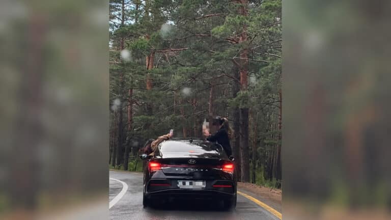 Девушки высовывались из окон авто: водителя наказали после поездки в Боровое