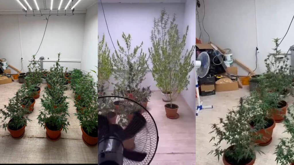 Алматыда көпқабатты үйдің жертөлесінен есірткі зертханасы анықталды