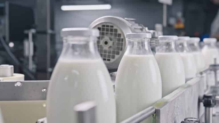 Астанада 6 млрд теңгеге сүт өңдейтін зауыт салынды