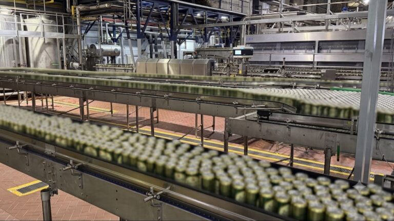 Жылына 300 млн литр: Алматыдағы Carlsberg зауыты сыраны қалай дайындайды