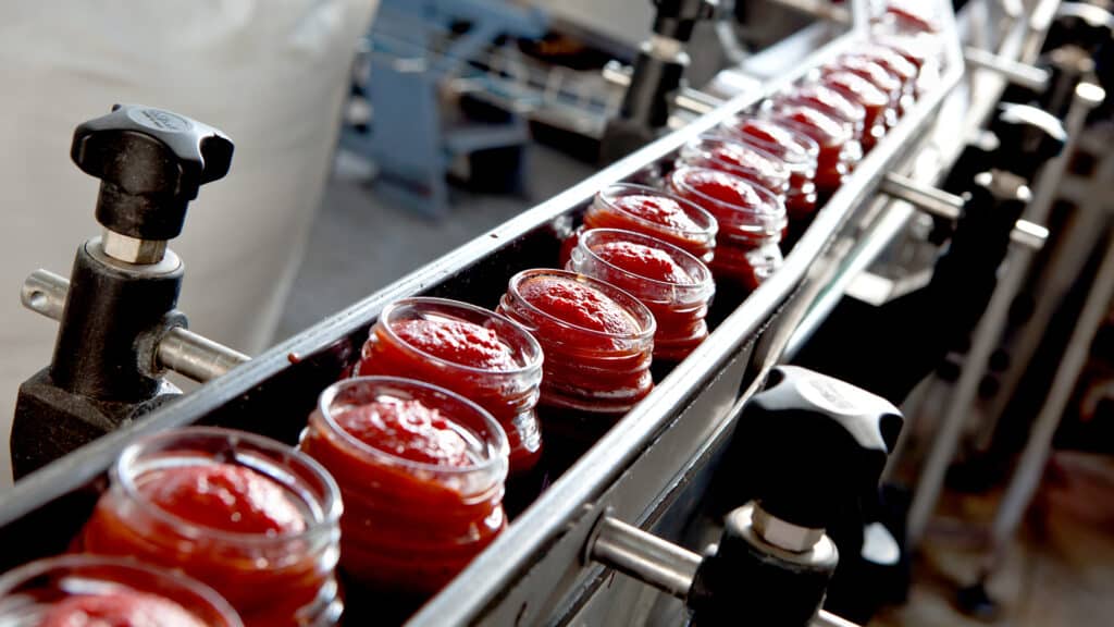 industrial production of tomatoes and tomato paste