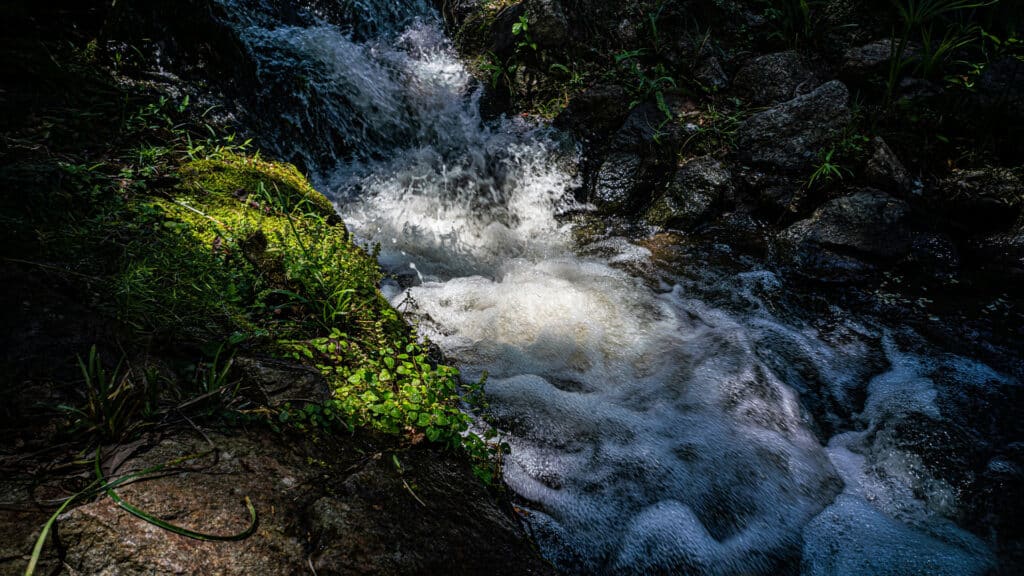 Фото: unsplash, бильд-редактор: Адэлина Мамедова