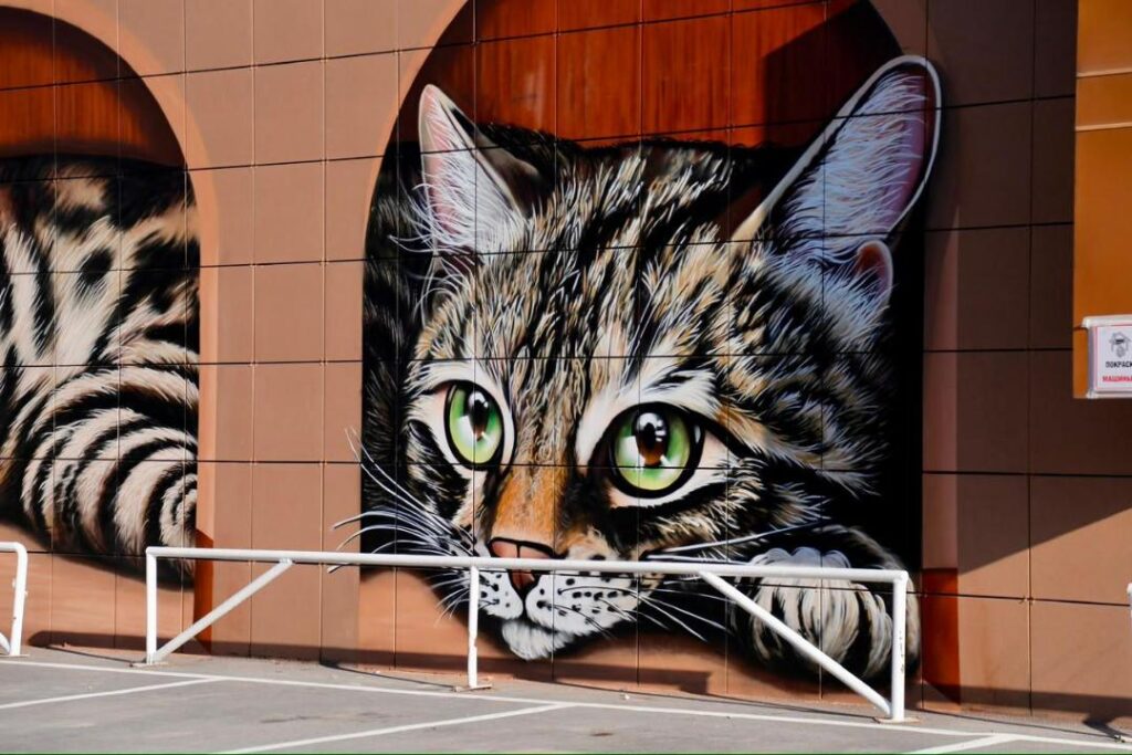 Мурал с котом в Астане/Фото: акимат Астаны